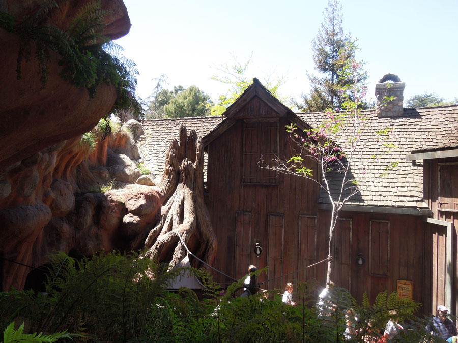 Disneyland Splash Mountain Ride Pictures